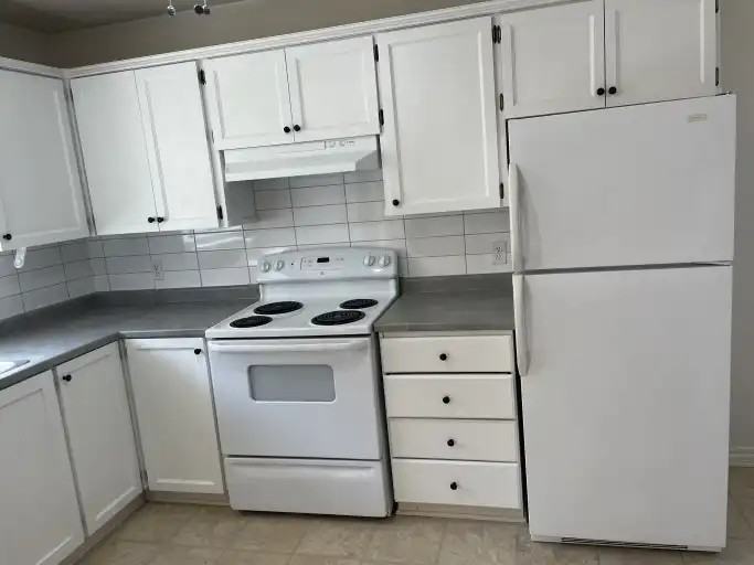 144 Regent St #1 - Photo 2 of 13