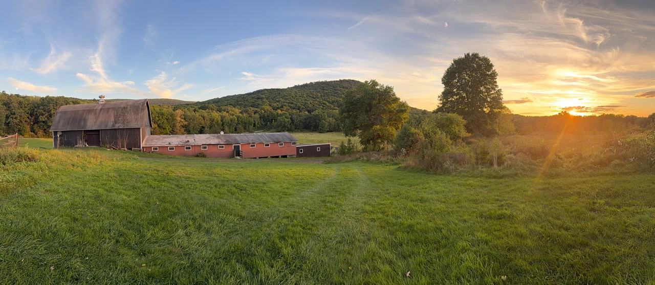 287 Woodcock Mountain Rd - Photo 3 of 20