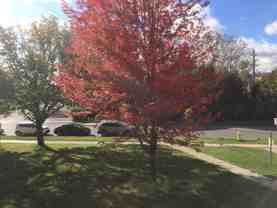 8 Kingsbridge Crt - Photo 1 of 1