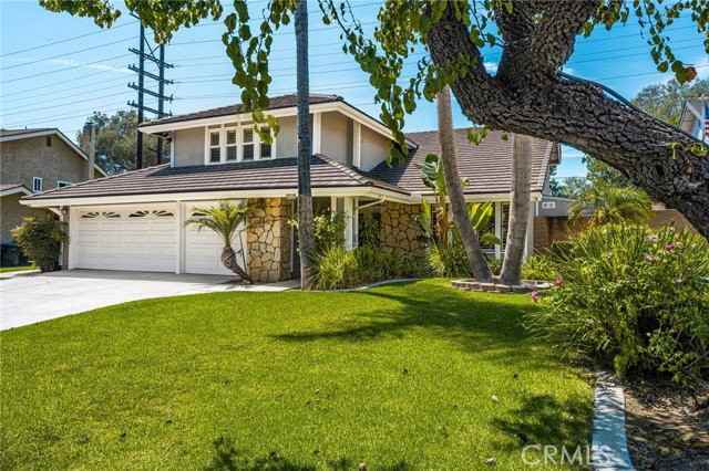 5463 Lupine St - Photo 3 of 8