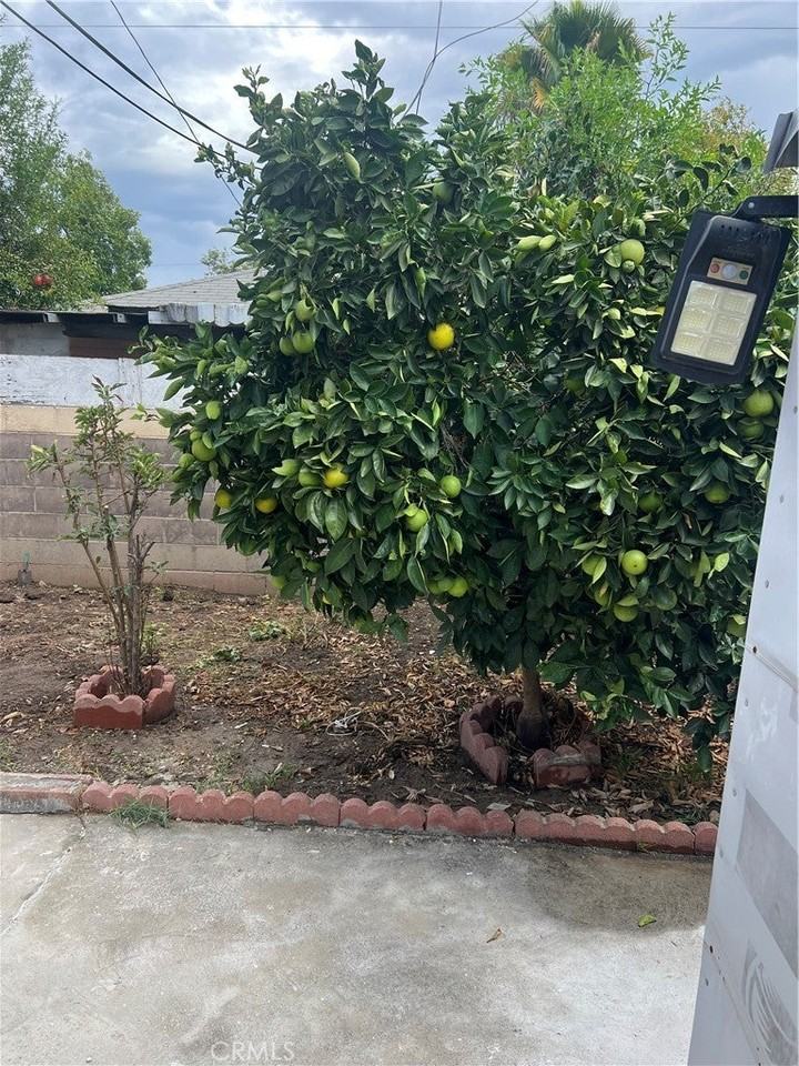 614 Rama Dr - Photo 7 of 7