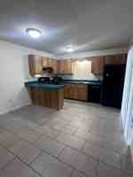 featured image of 1209 Cr 463b