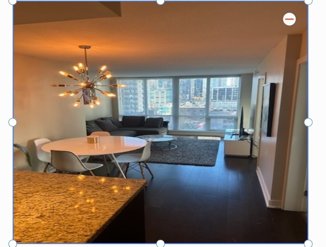 1055 Richards Street #1205 - Photo 7 of 14