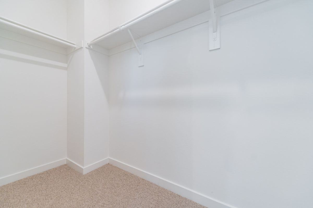 209 Niebla Ln - Photo 6 of 27