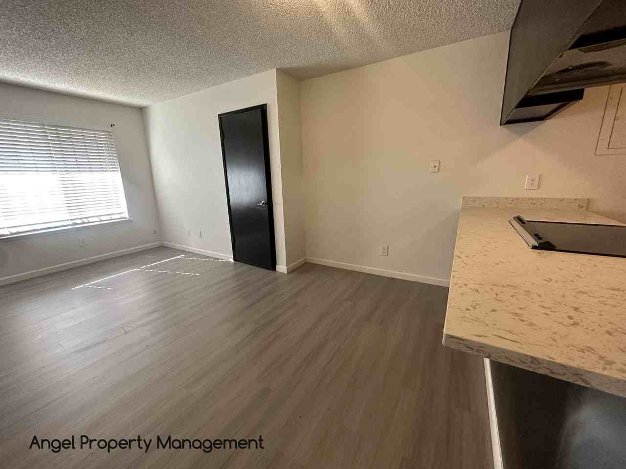 1325 U Street 1 - Photo 6 of 17