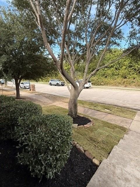 2245 Colby Ln - Photo 4 of 19