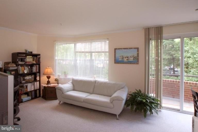 301 S Reynolds St #205 - Photo 7 of 27