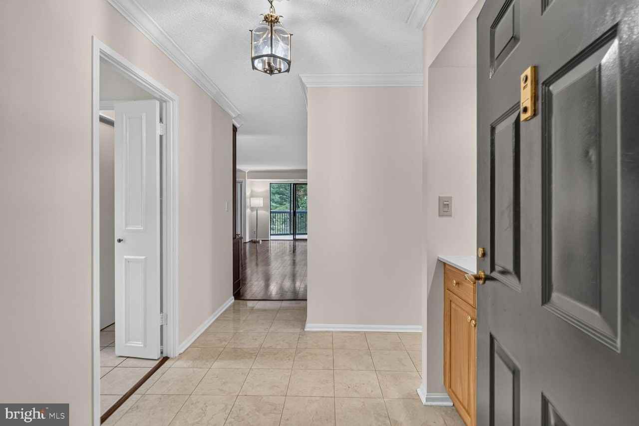 5903 Mount Eagle Dr #204 - Photo 3 of 47