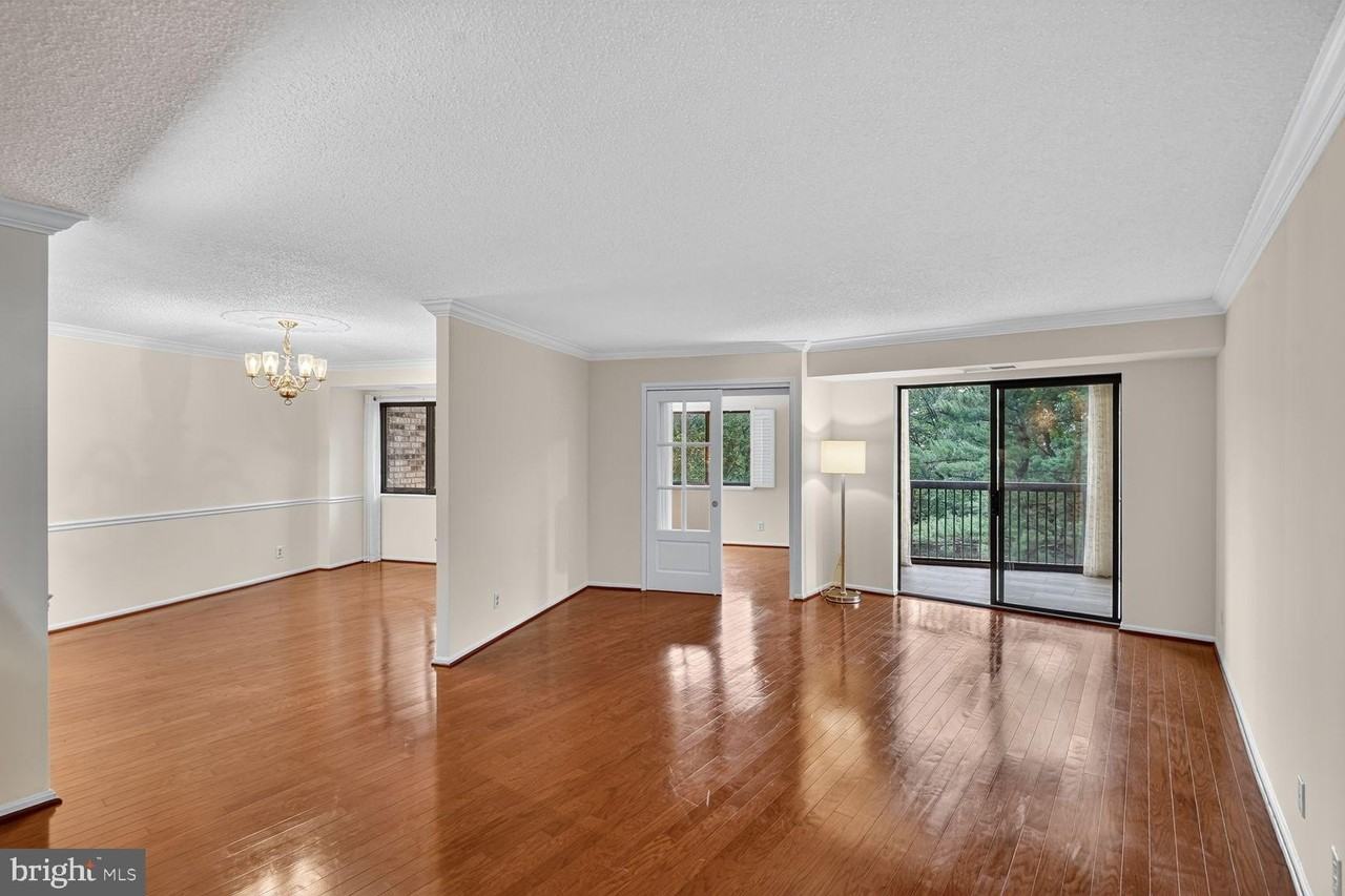 5903 Mount Eagle Dr #204 - Photo 5 of 47