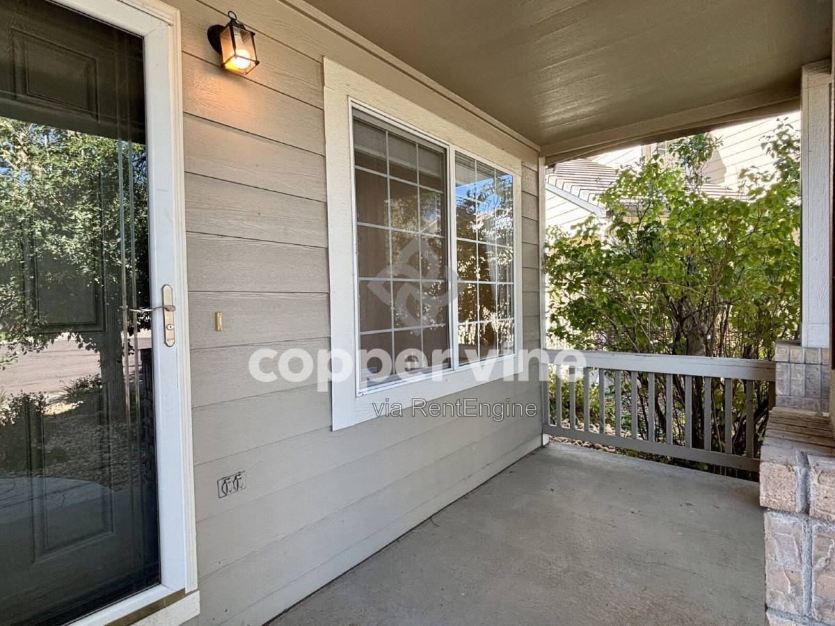 3015 Huron Peak Pl - Photo 2 of 20