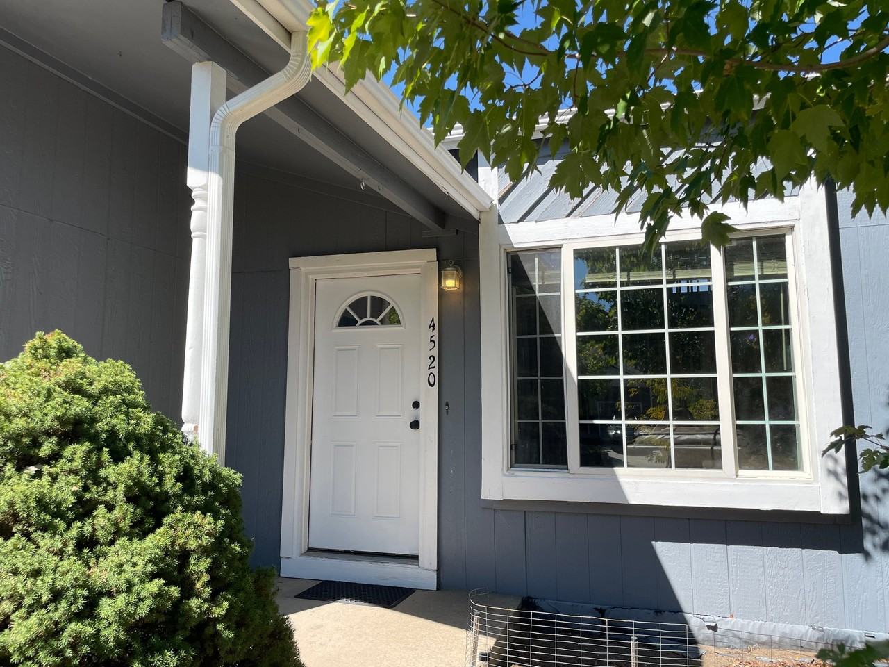 4520 Hollyridge Dr - Photo 2 of 19