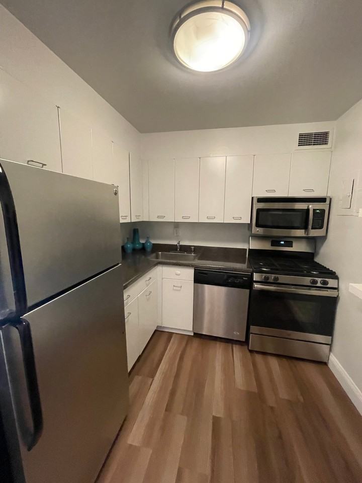 1335 N Lake Shore Dr - Photo 6 of 11