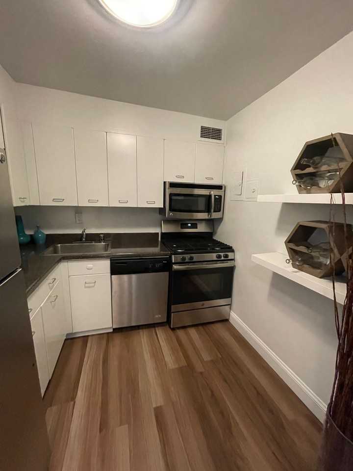 1335 N Lake Shore Dr - Photo 7 of 11