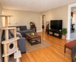 4939 Fuller Dr #4939 - Photo 1 of 1