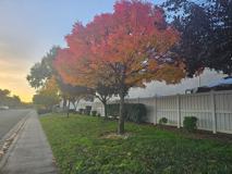 Gateway Apartments - Photo 1 of 1