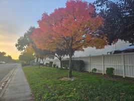 featured image of 2600 Shady Ln