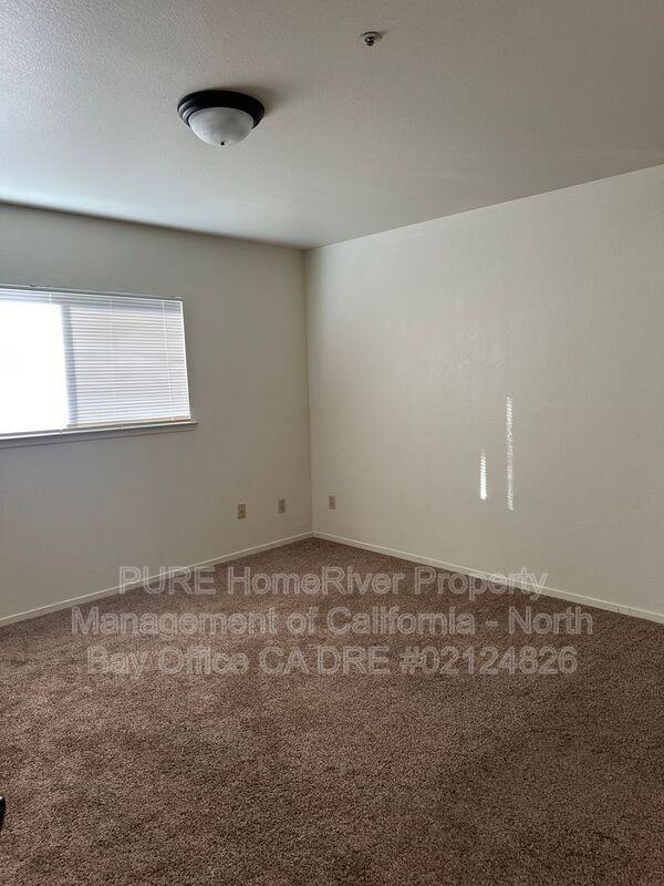 915 S Oak St - Photo 6 of 16