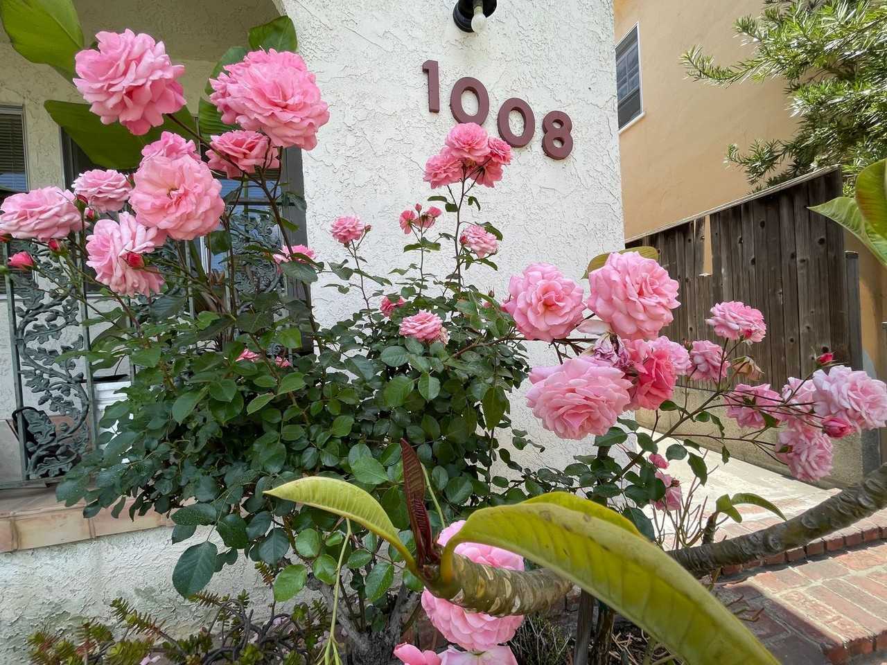 1008 17th Street - Photo 2 of 35