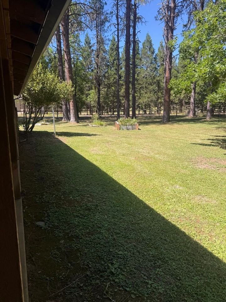 11849 Lower River Rd - Photo 2 of 6