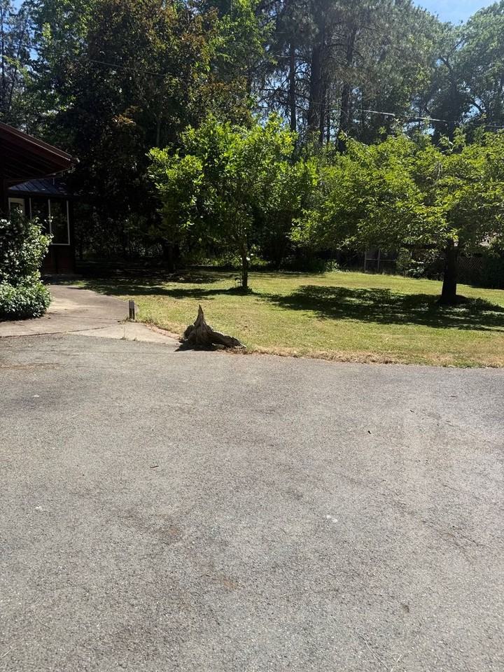11849 Lower River Rd - Photo 5 of 6