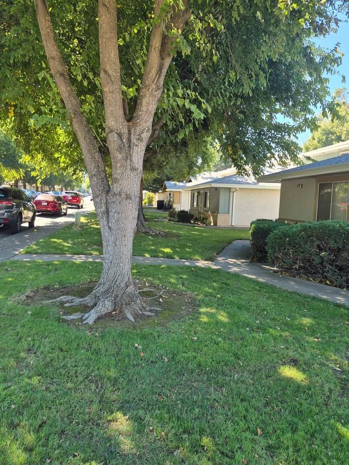 6261 Cavan Dr - Photo 2 of 11
