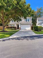 featured image of 12 Fan Palm Way