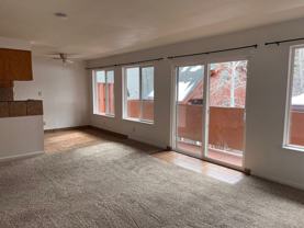 1232 Ski Run Blvd - Photo 1 of 1