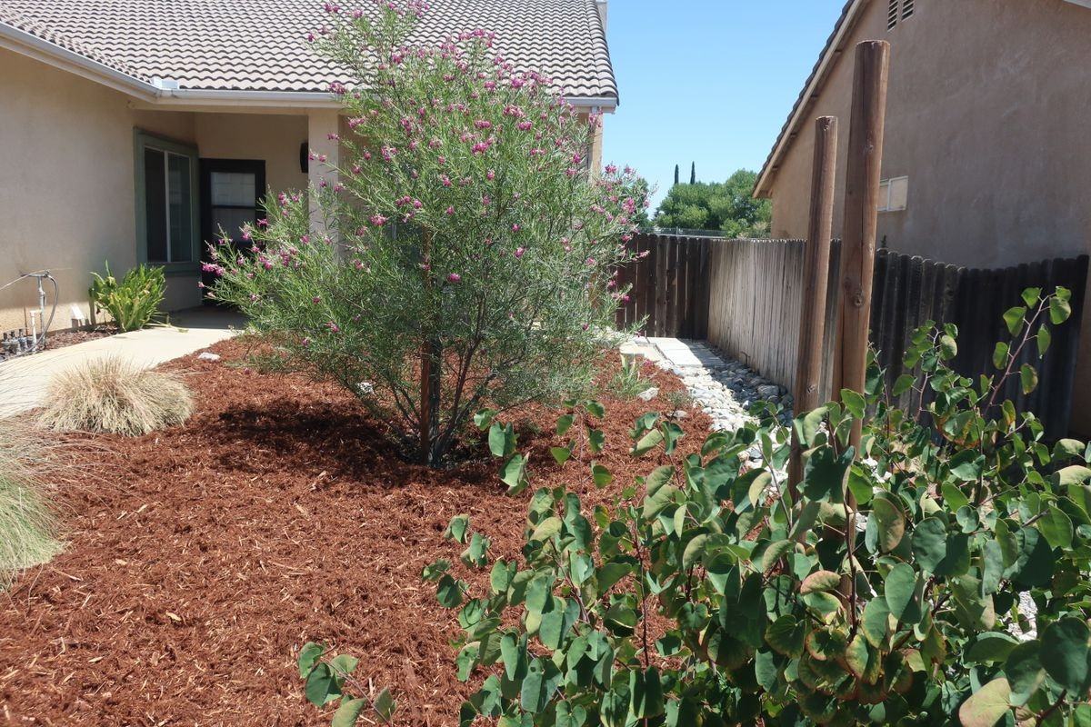 1738 Shane Ln - Photo 2 of 21