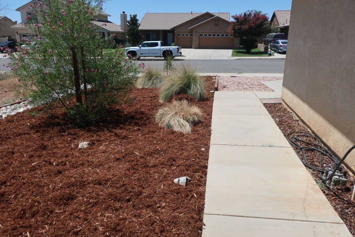 1738 Shane Ln - Photo 4 of 21