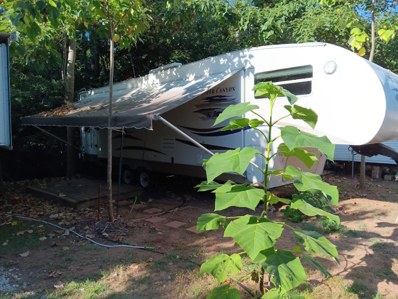 379 Cr - Photo 5 of 22