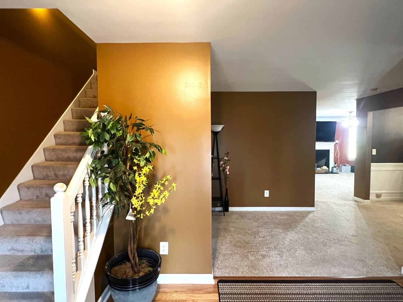11050 Shadow Creek Ter - Photo 2 of 35