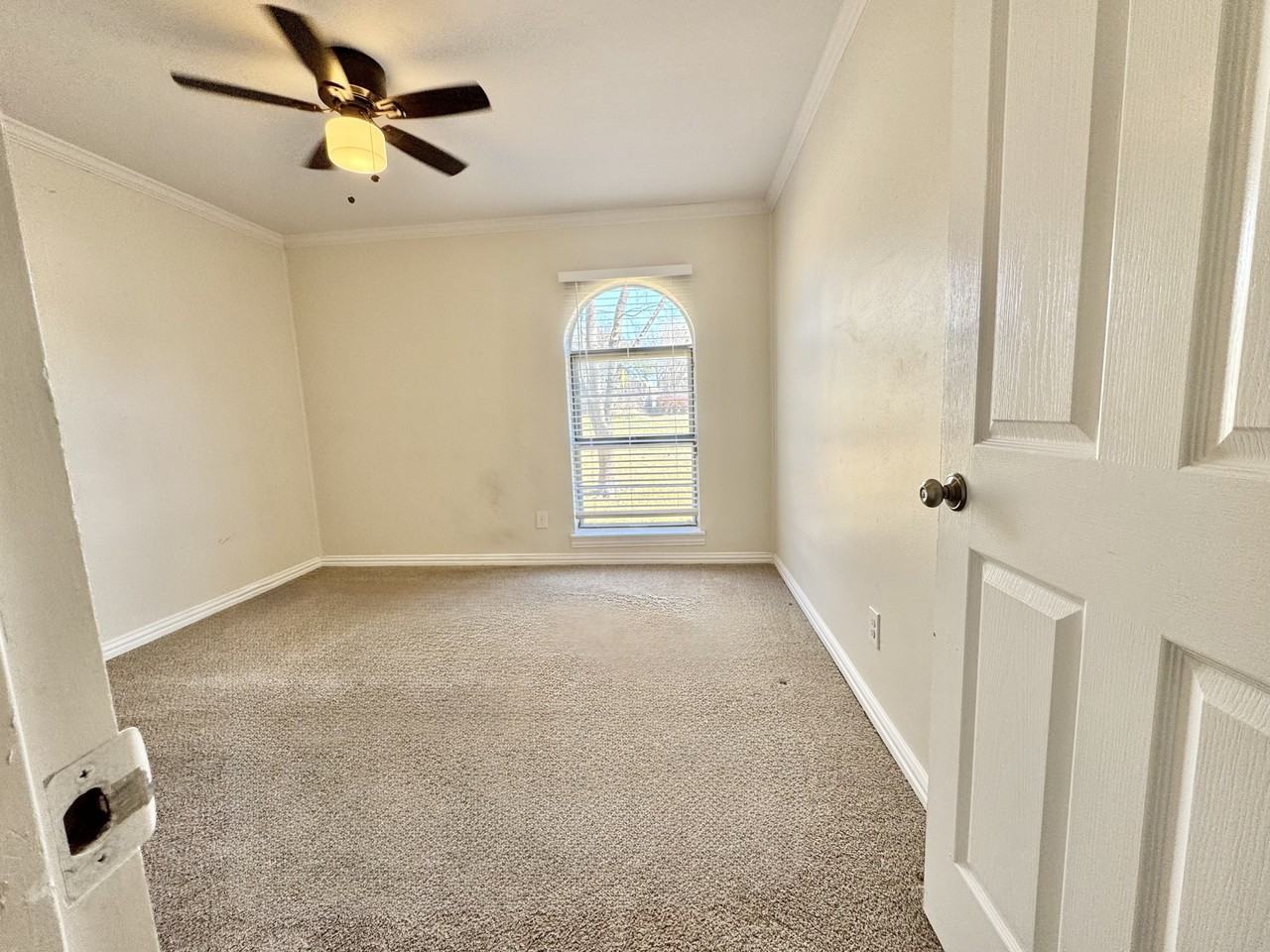6403 Chinaberry Trail - Photo 5 of 5