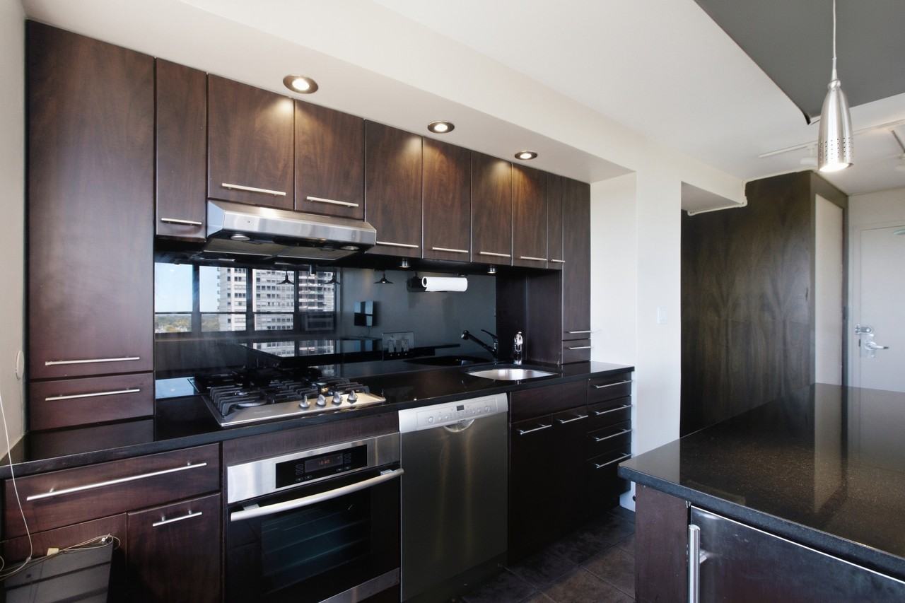 3950 N Lake Shore Dr #1100A - Photo 2 of 11