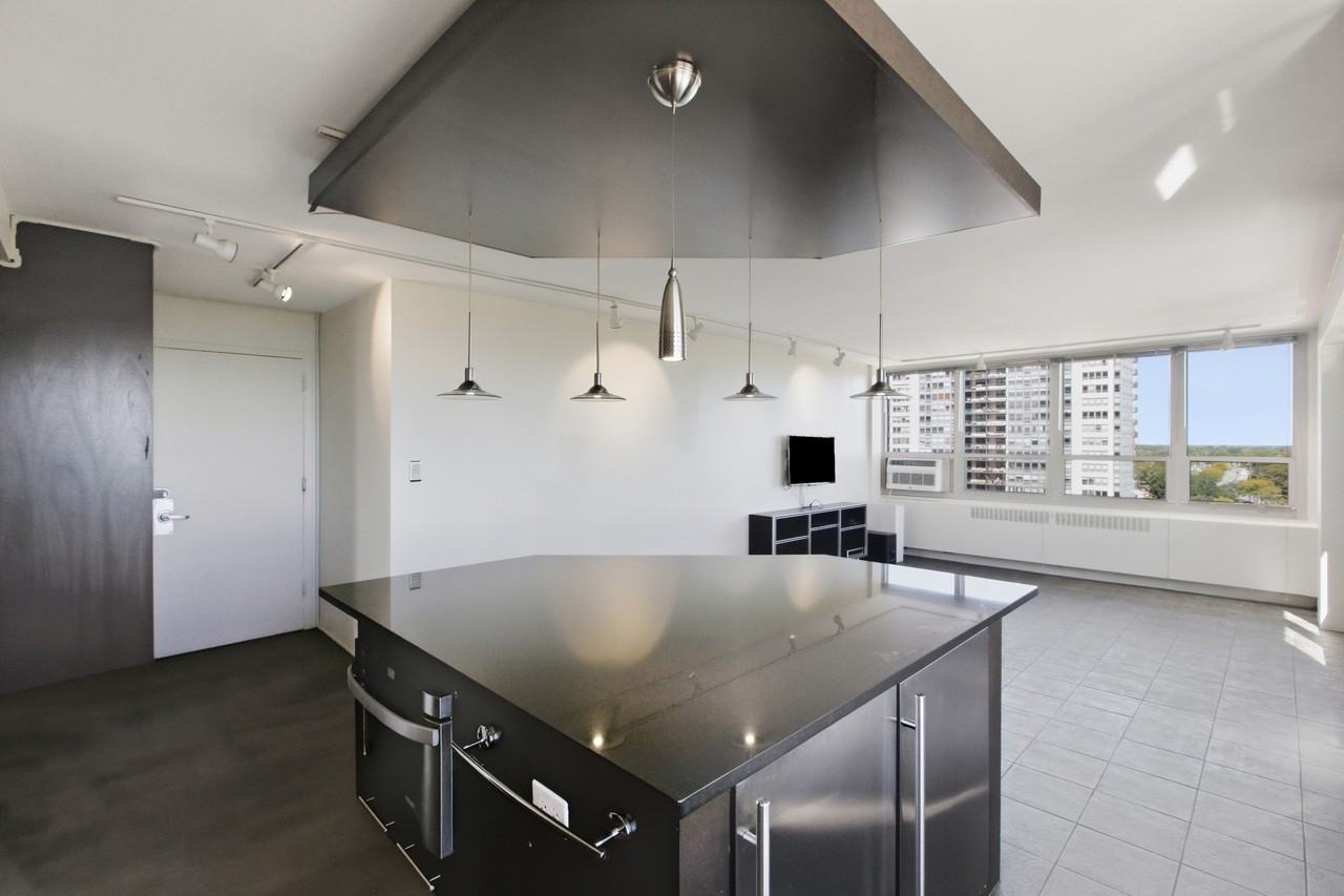 3950 N Lake Shore Dr #1100A - Photo 3 of 11