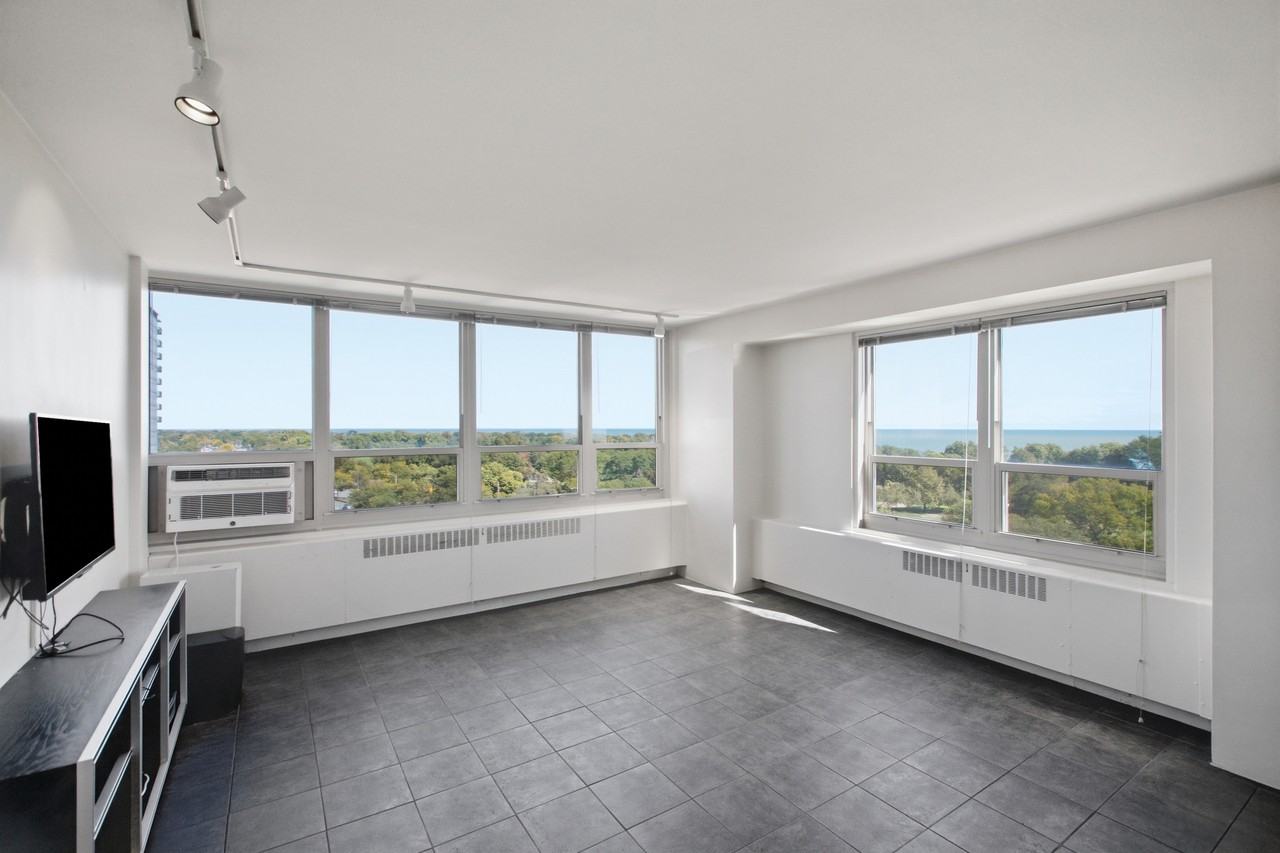 3950 N Lake Shore Dr #1100A - Photo 6 of 11