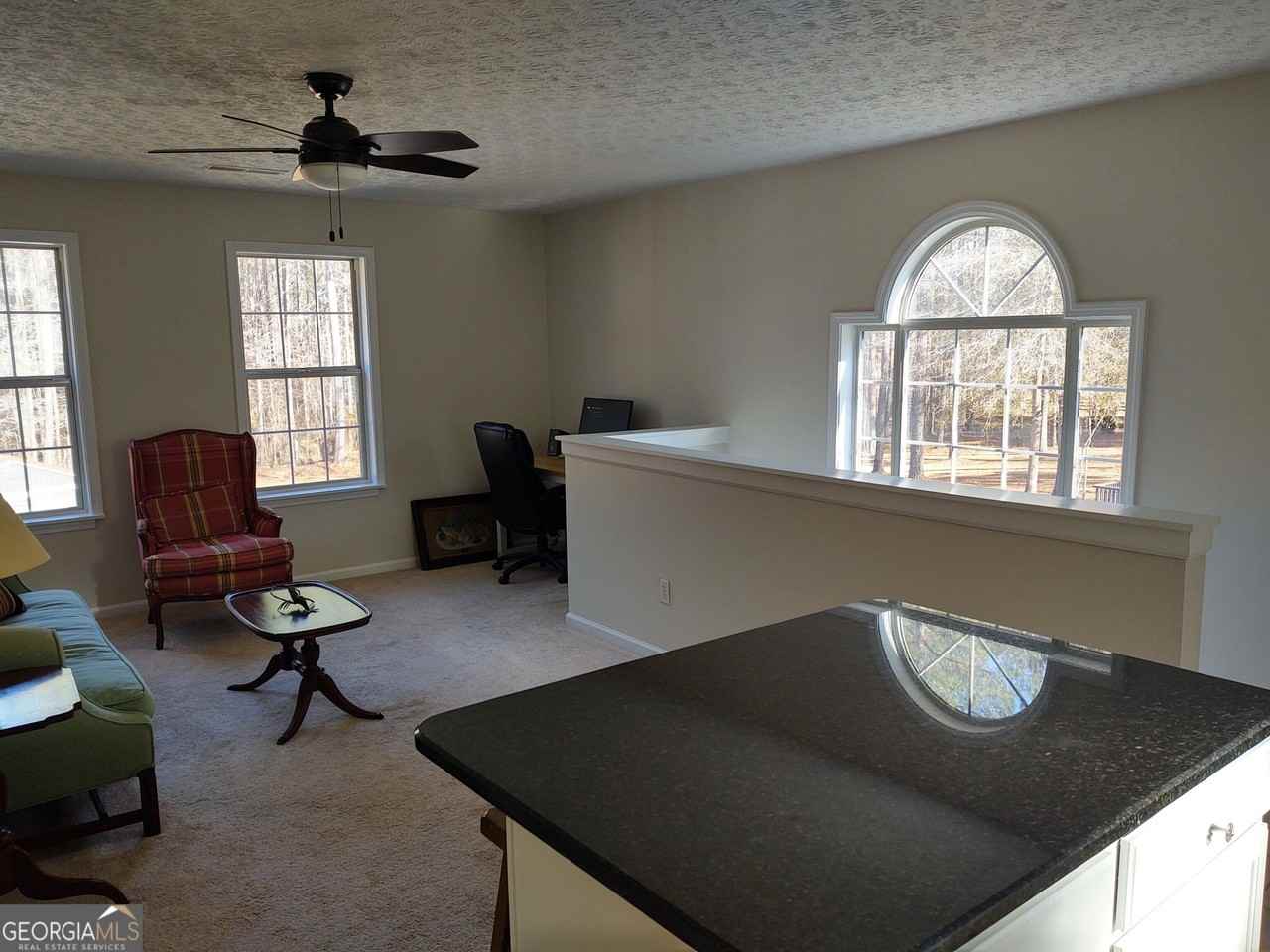 1467 Elders Mill Rd - Photo 6 of 17