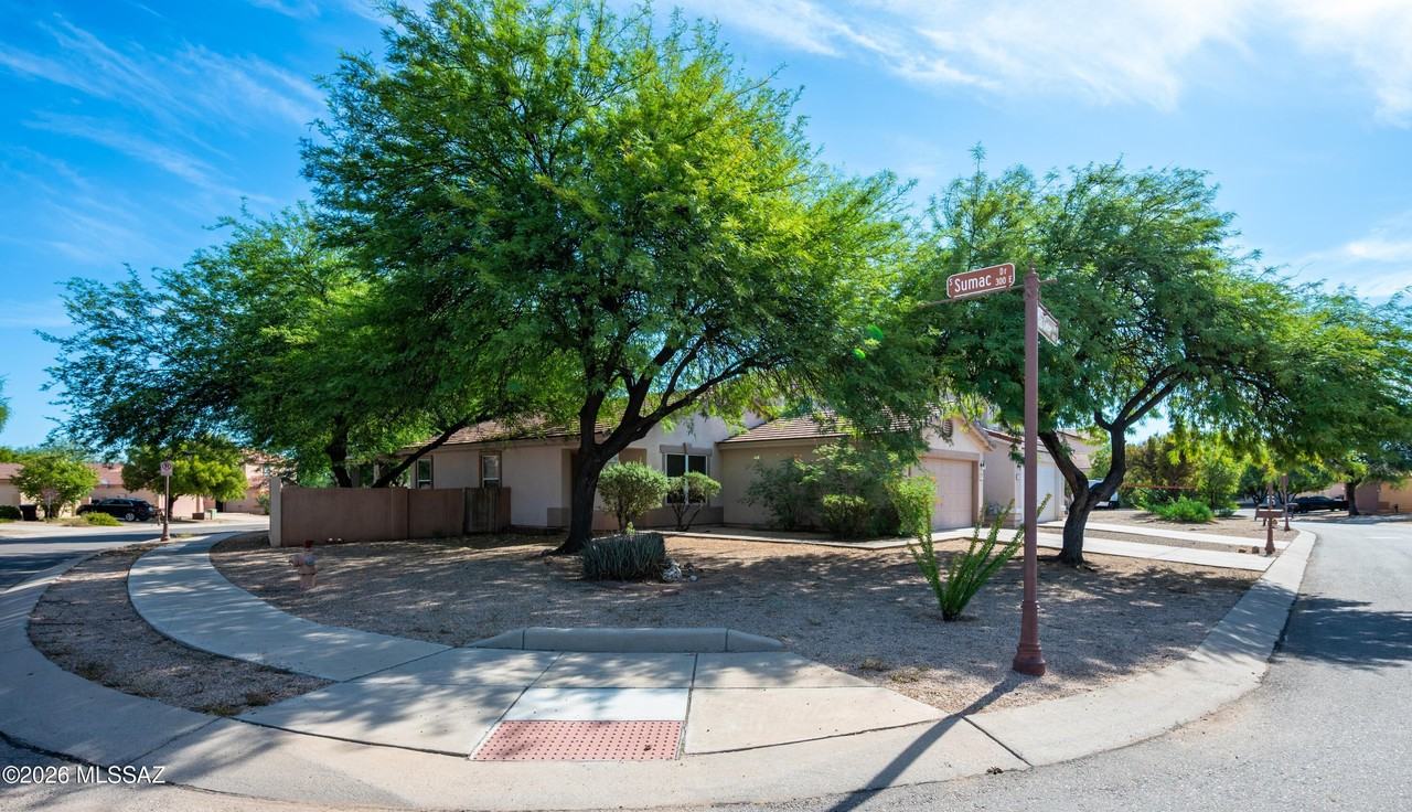 317 E Atlas Cedar Pl - Photo 2 of 34