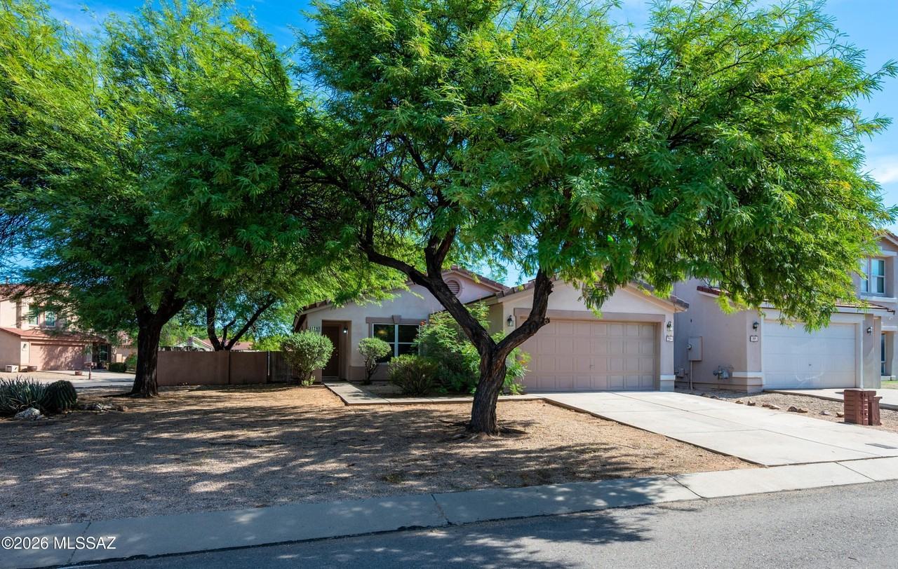 317 E Atlas Cedar Pl - Photo 3 of 34