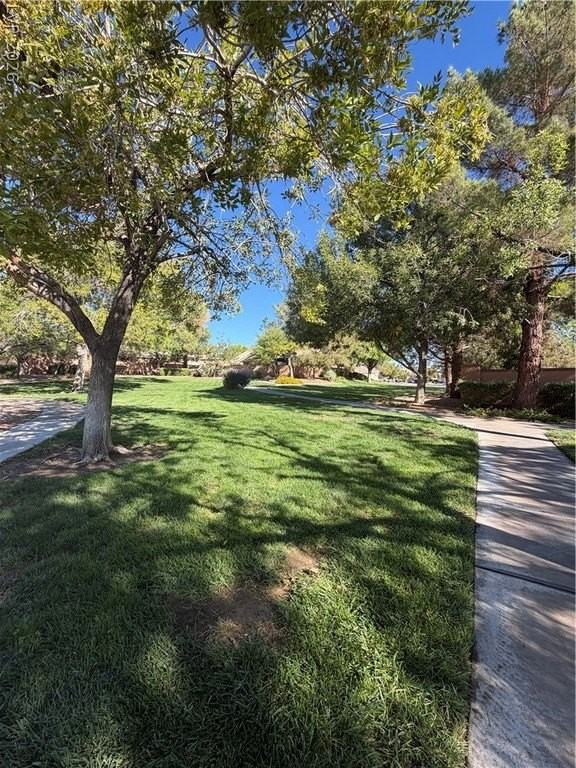 10669 Angel Dreams Ave - Photo 2 of 13