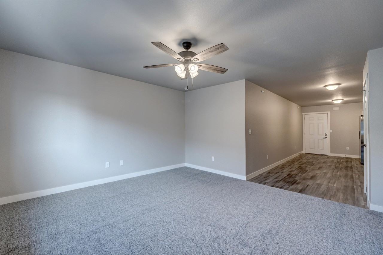 4821 5th Street - Photo 4 of 22
