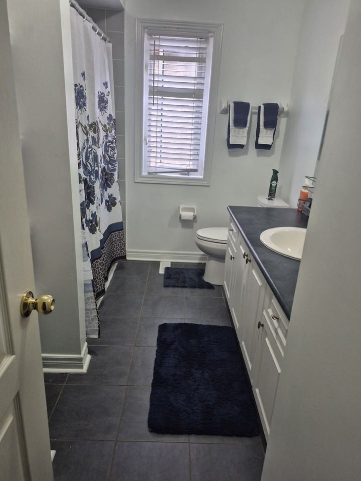 Serences Way & Sunny Meadow Blvd - Photo 4 of 6