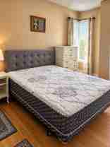 Serences Way & Sunny Meadow Blvd - Photo 1 of 1