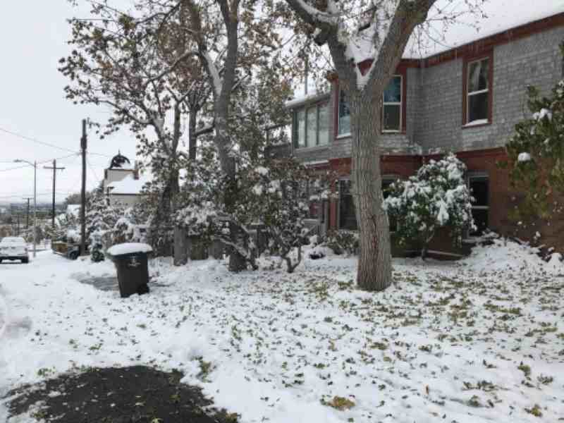 319 Blake St - Photo 6 of 10