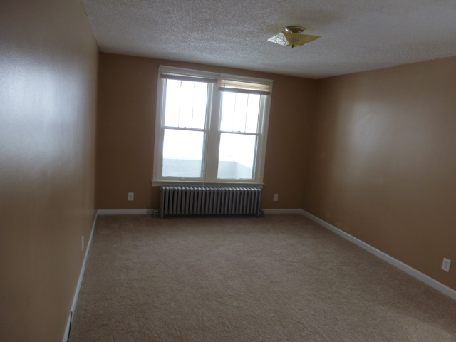 541 Peosta Ave - Photo 7 of 17