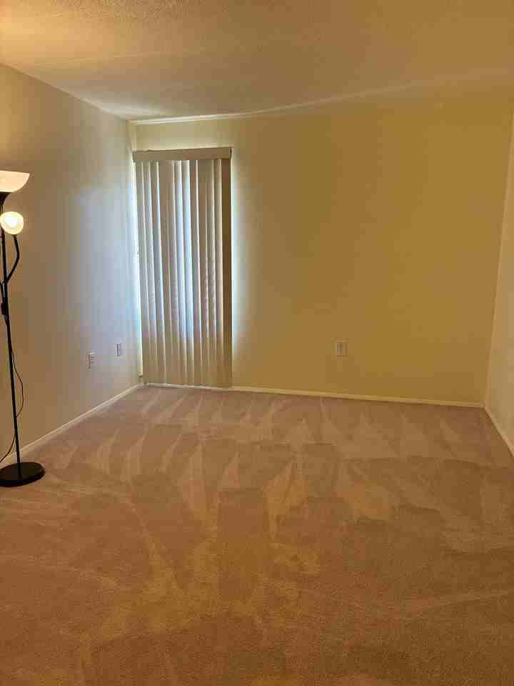 3301 Hewitt Ave #506 - Photo 7 of 17