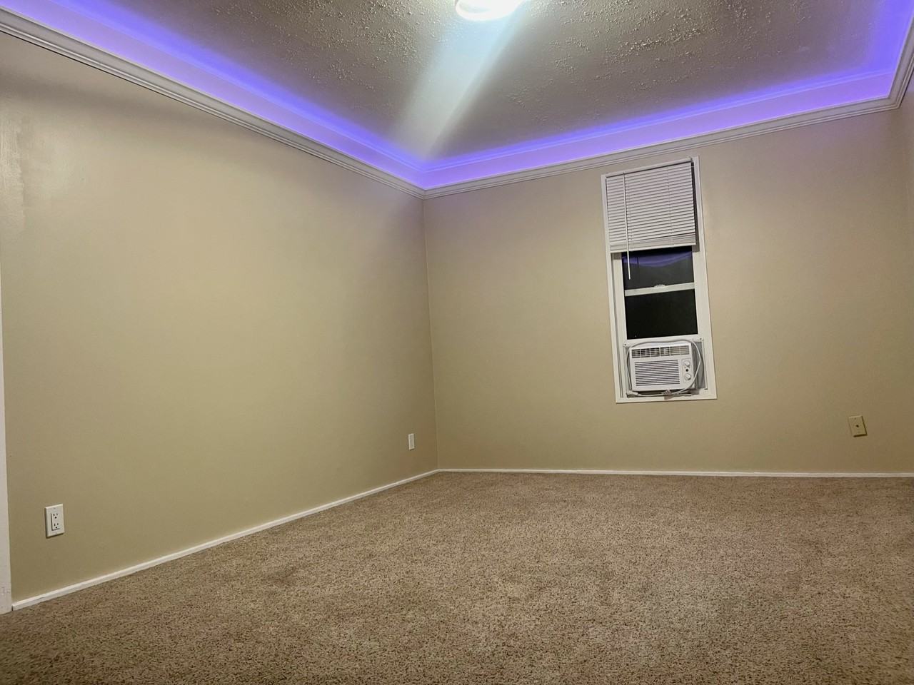 2406 C St #201 - Photo 5 of 24