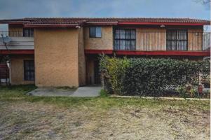 featured image of 404 Zulema #NA