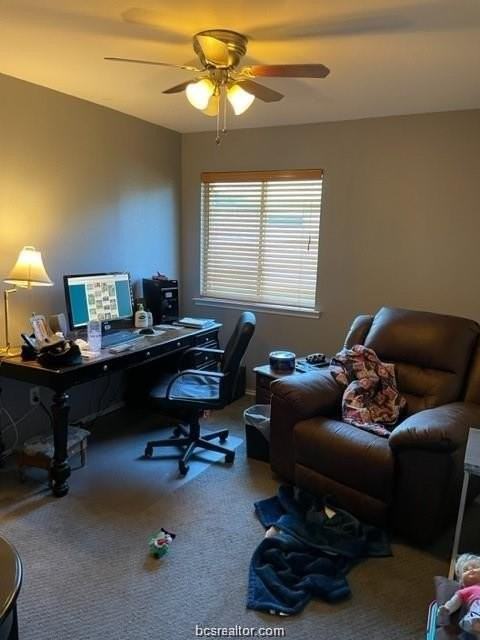 909 Whitewing Ln - Photo 4 of 5