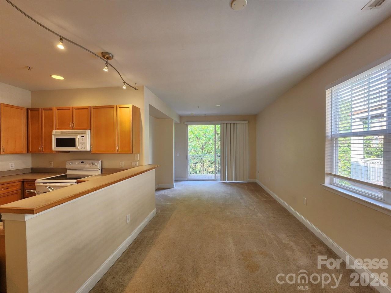 1308 Kenilworth Ave #420 - Photo 5 of 18