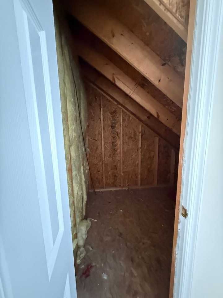 1509 Gabriel Ct - Photo 5 of 22